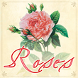 Redouté Roses